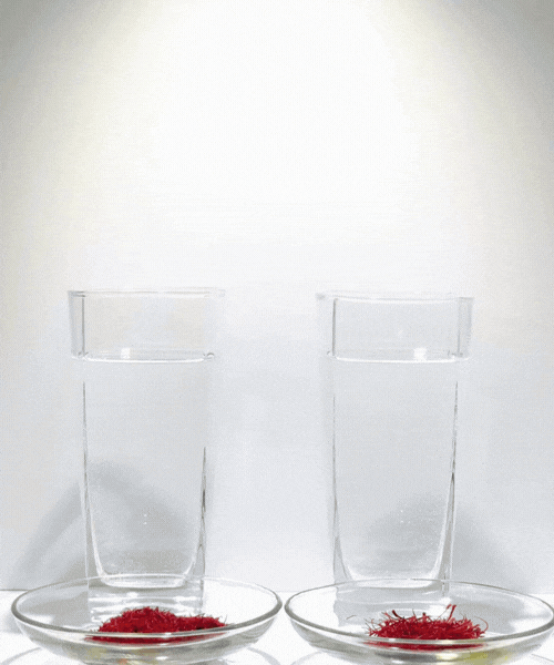 Saffron purity water test demonstration